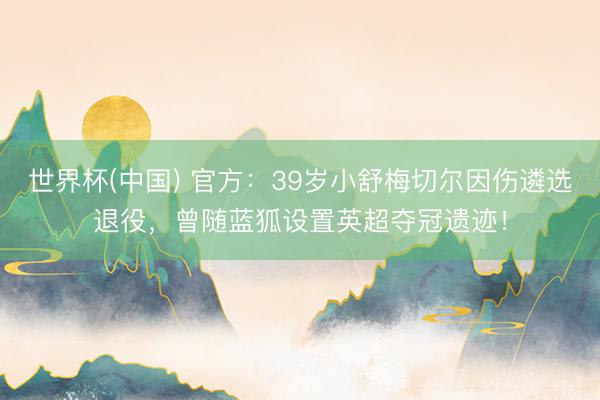世界杯(中国) 官方：39岁小舒梅切尔因伤遴选退役，曾随蓝狐