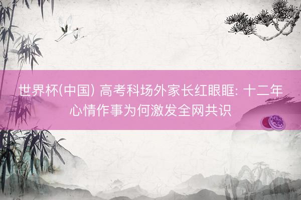 世界杯(中国) 高考科场外家长红眼眶: 十二年心情作事为何激发全网共识