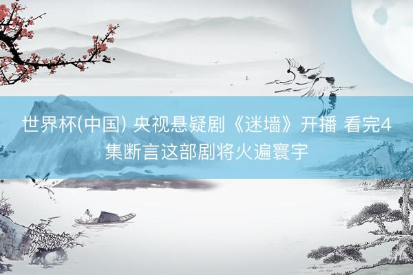 世界杯(中国) 央视悬疑剧《迷墙》开播 看完4集断言这部剧将火遍寰宇