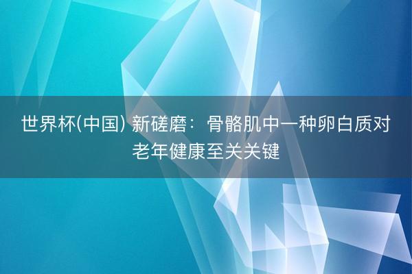 世界杯(中国) 新磋磨：骨骼肌中一种卵白质对老年健康至关关键